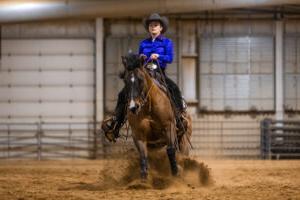 Western equestrian rider on horse kicking up dirt